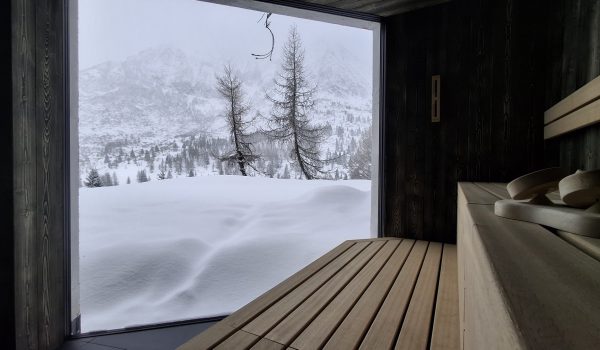BIOSAUNA 1
