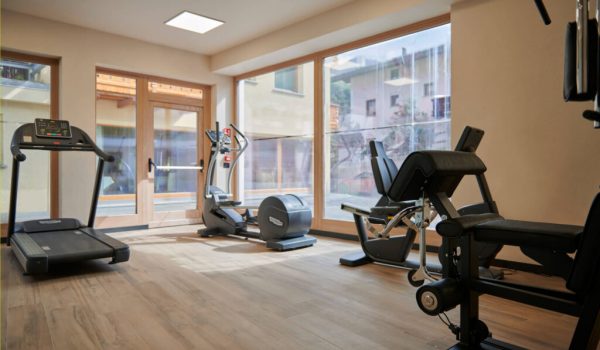 palestra-new-1024x683